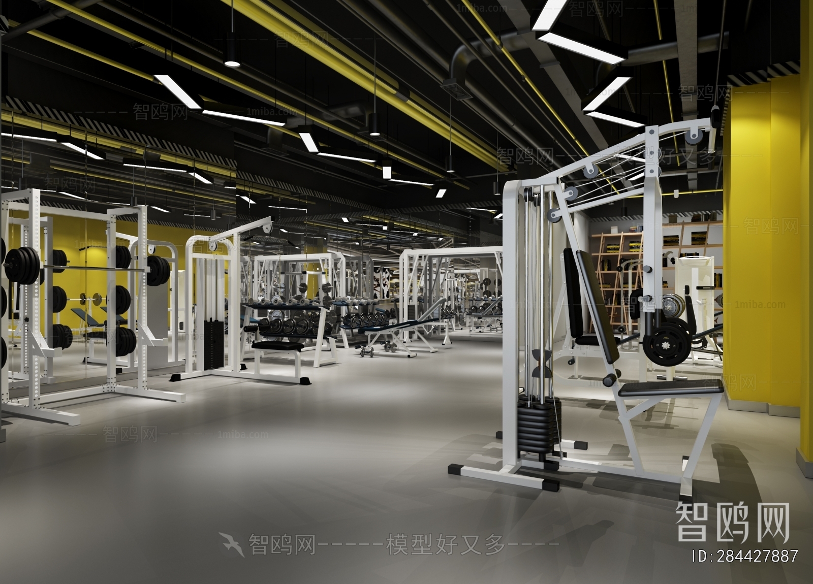 Industrial Style Gym