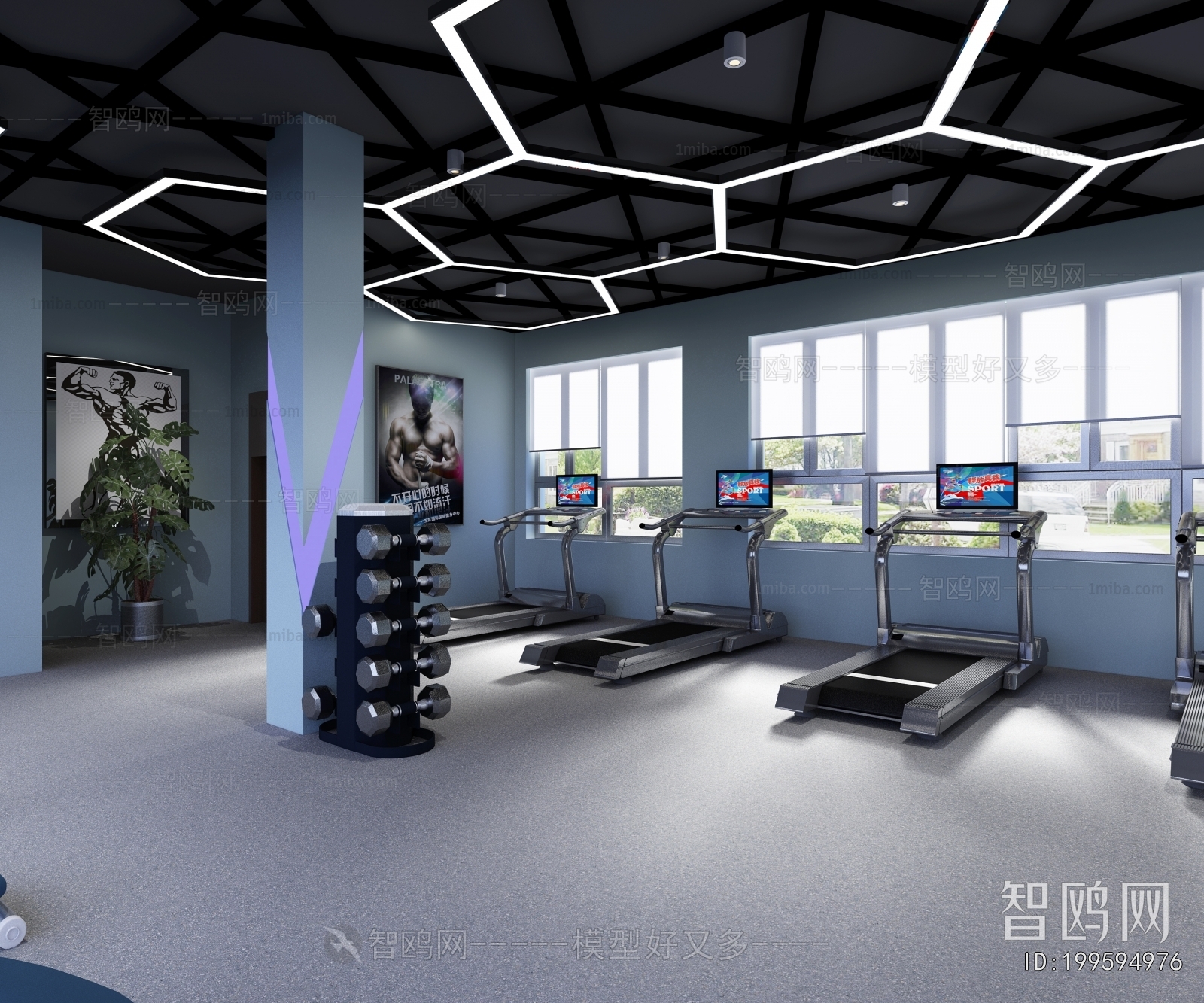 Modern Gym