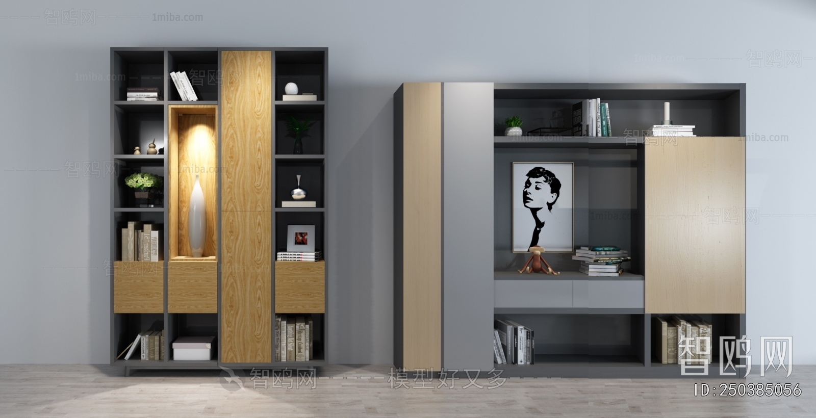 Modern Bookcase