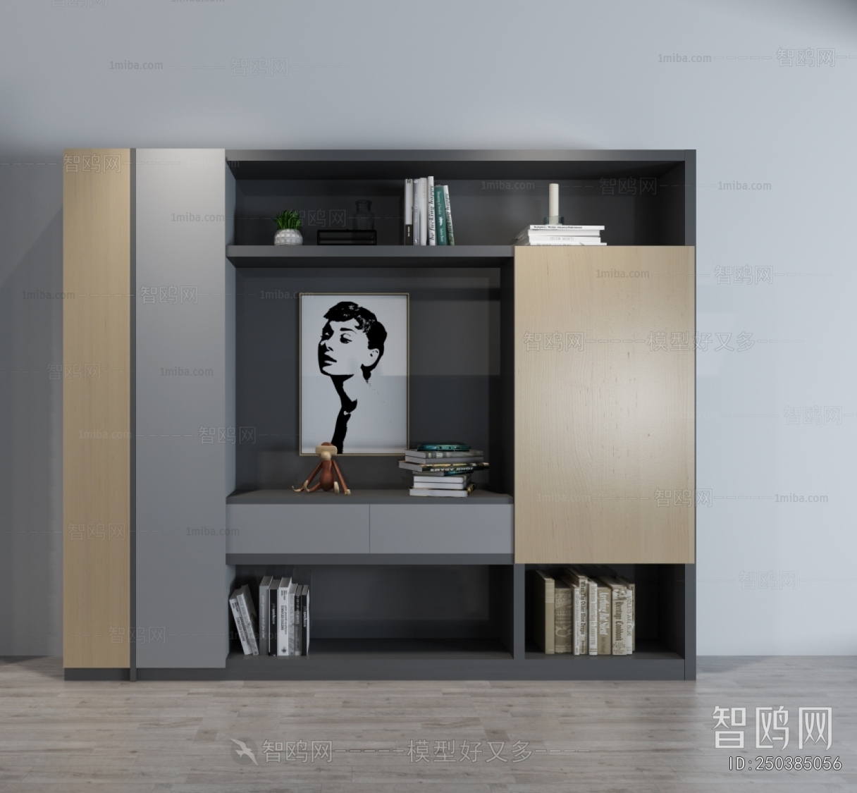 Modern Bookcase