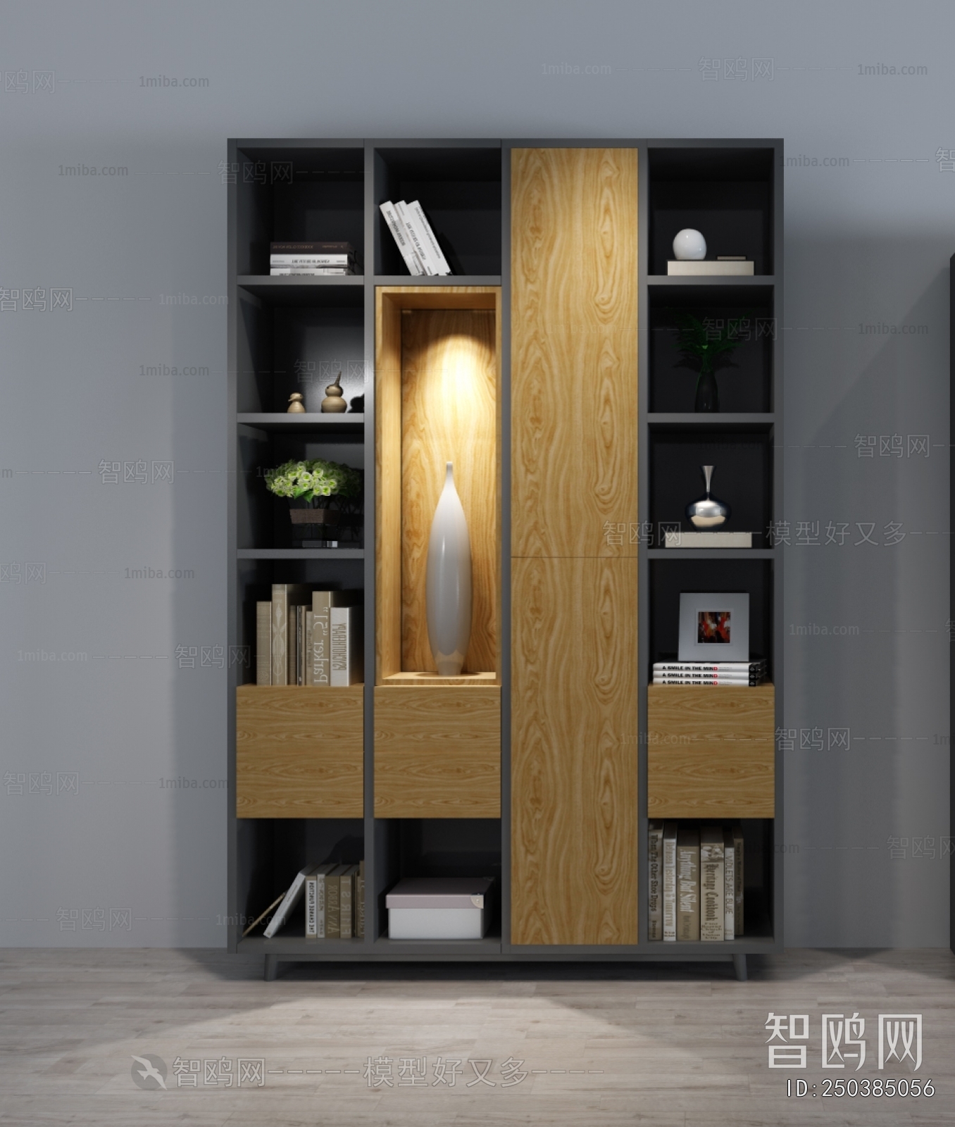 Modern Bookcase