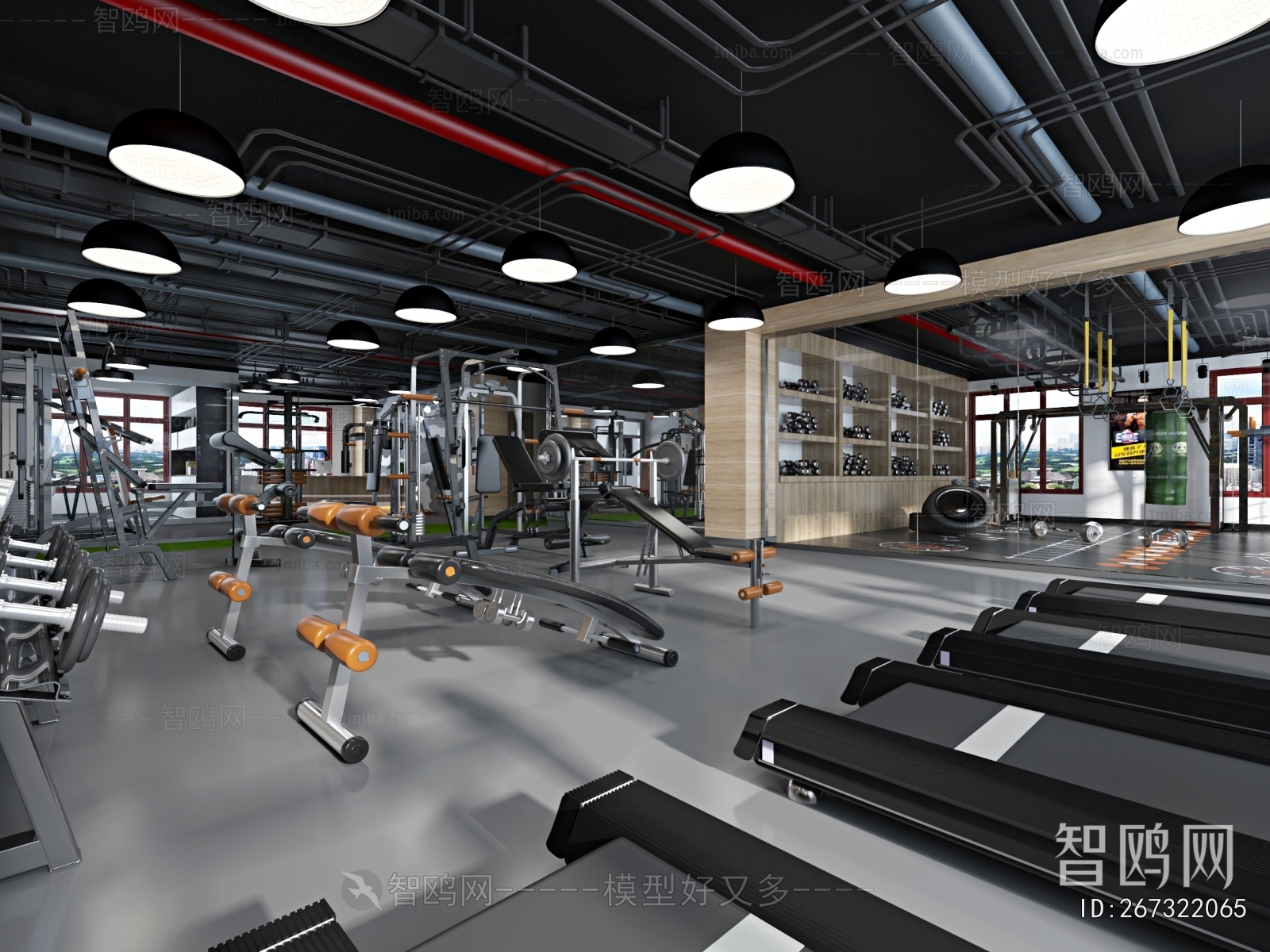 Industrial Style Gym