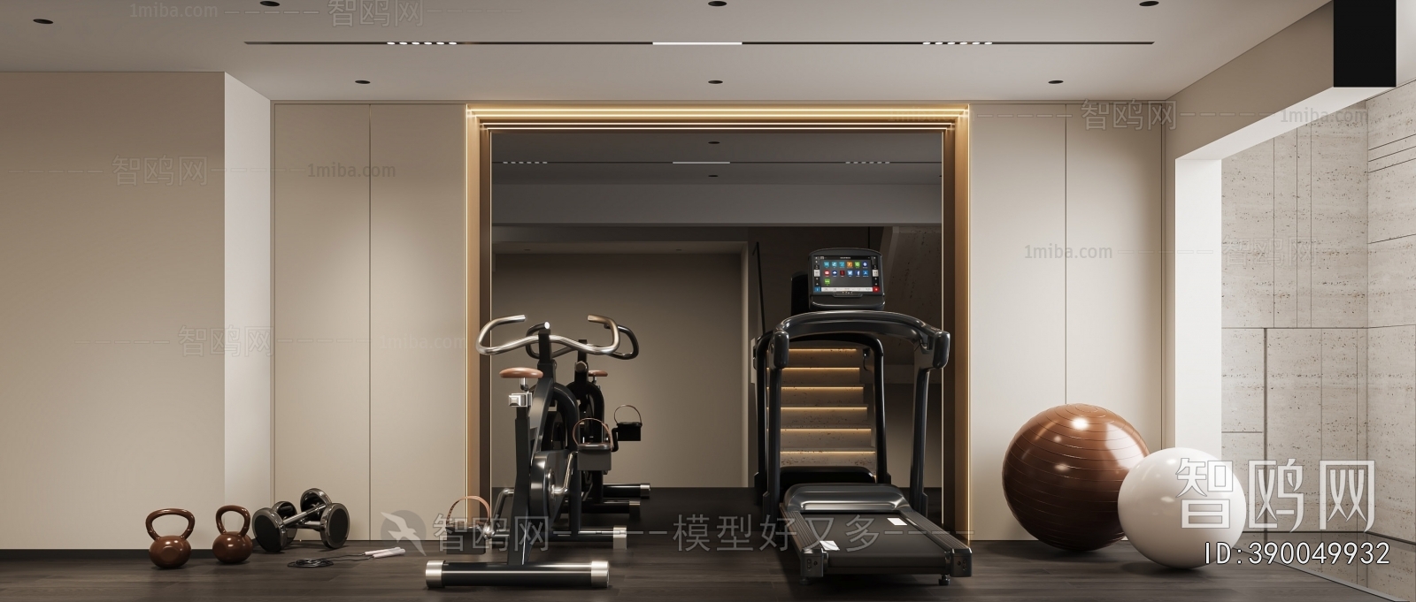 Modern Home Fitness Room