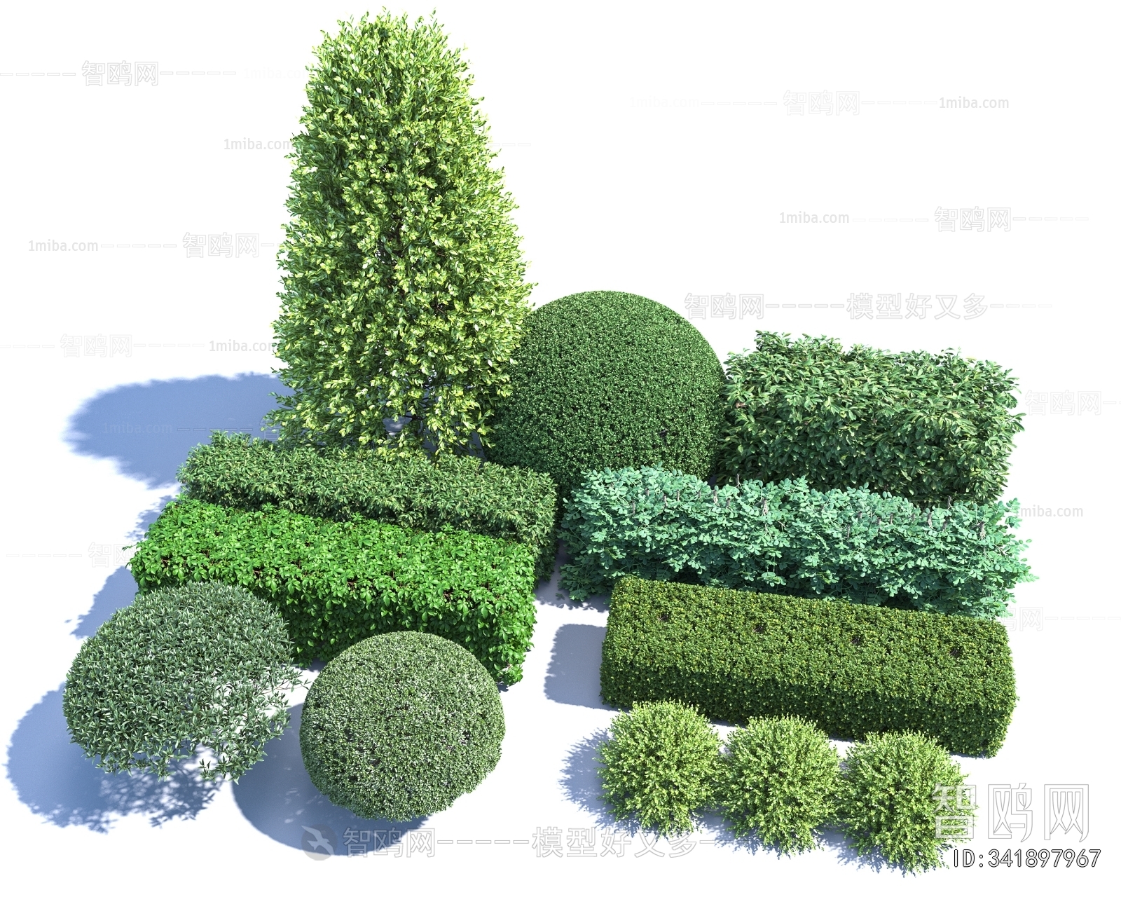 Modern Shrubbery