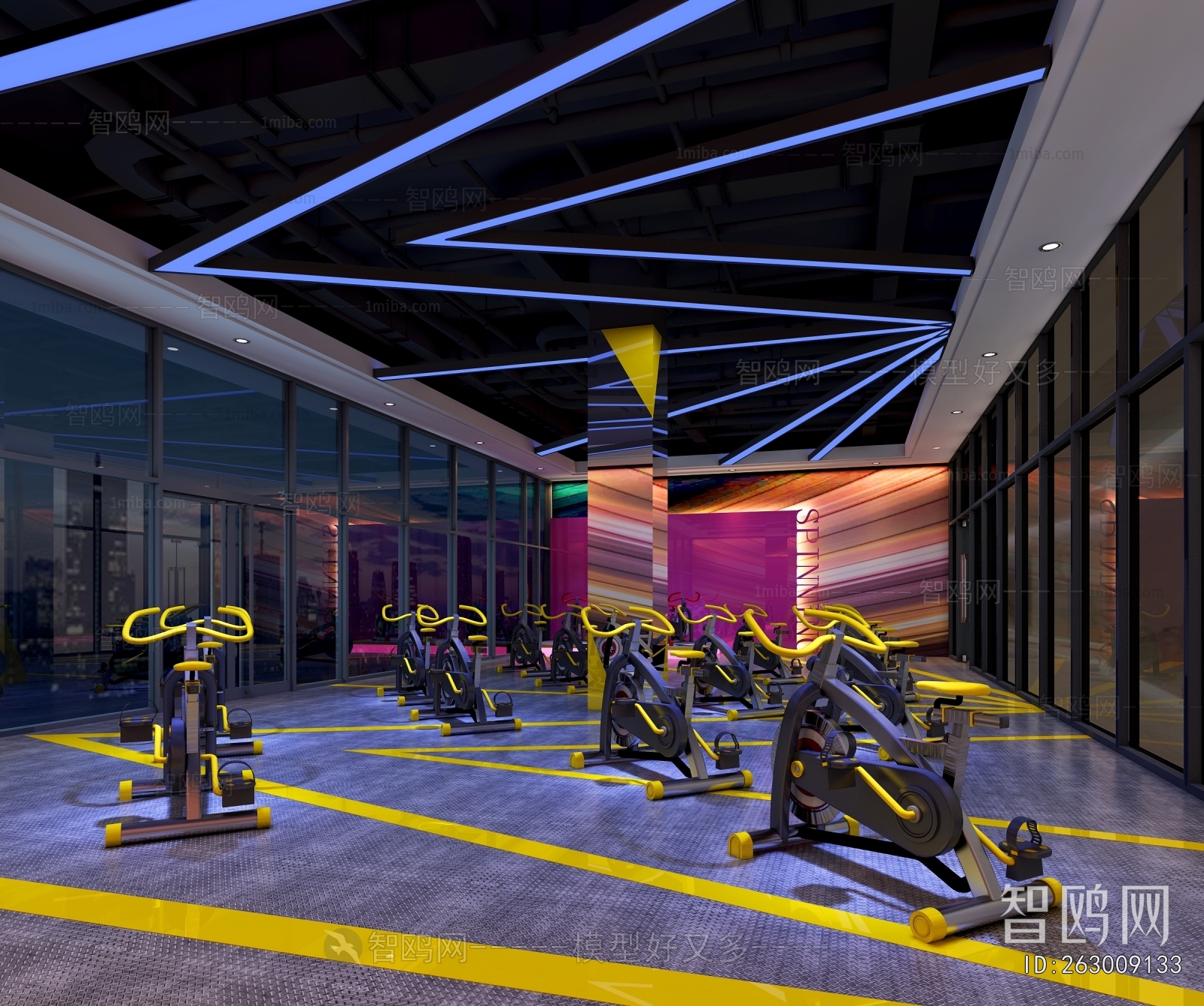 Modern Gym