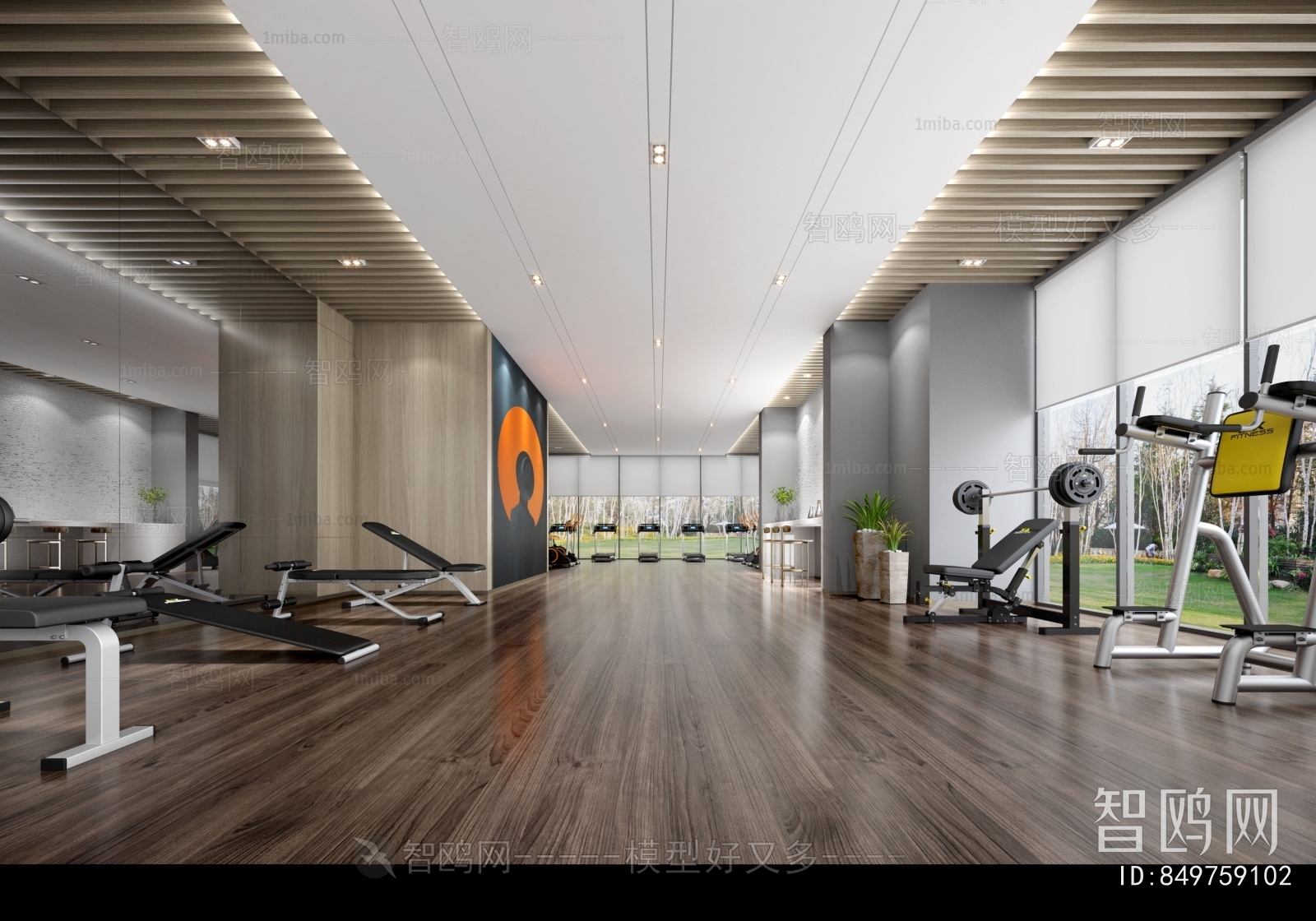 Modern Gym