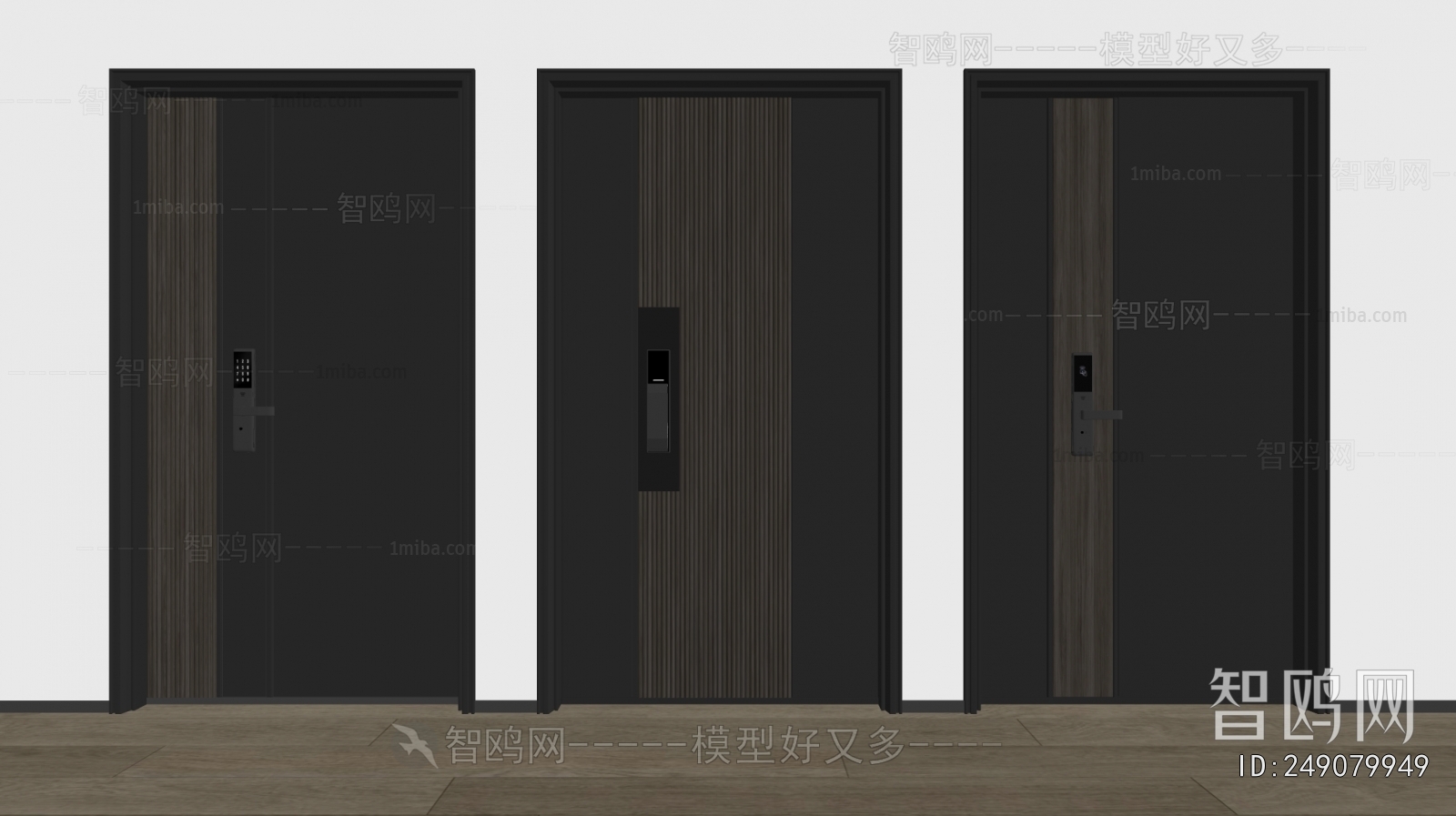 Modern Entrance Door