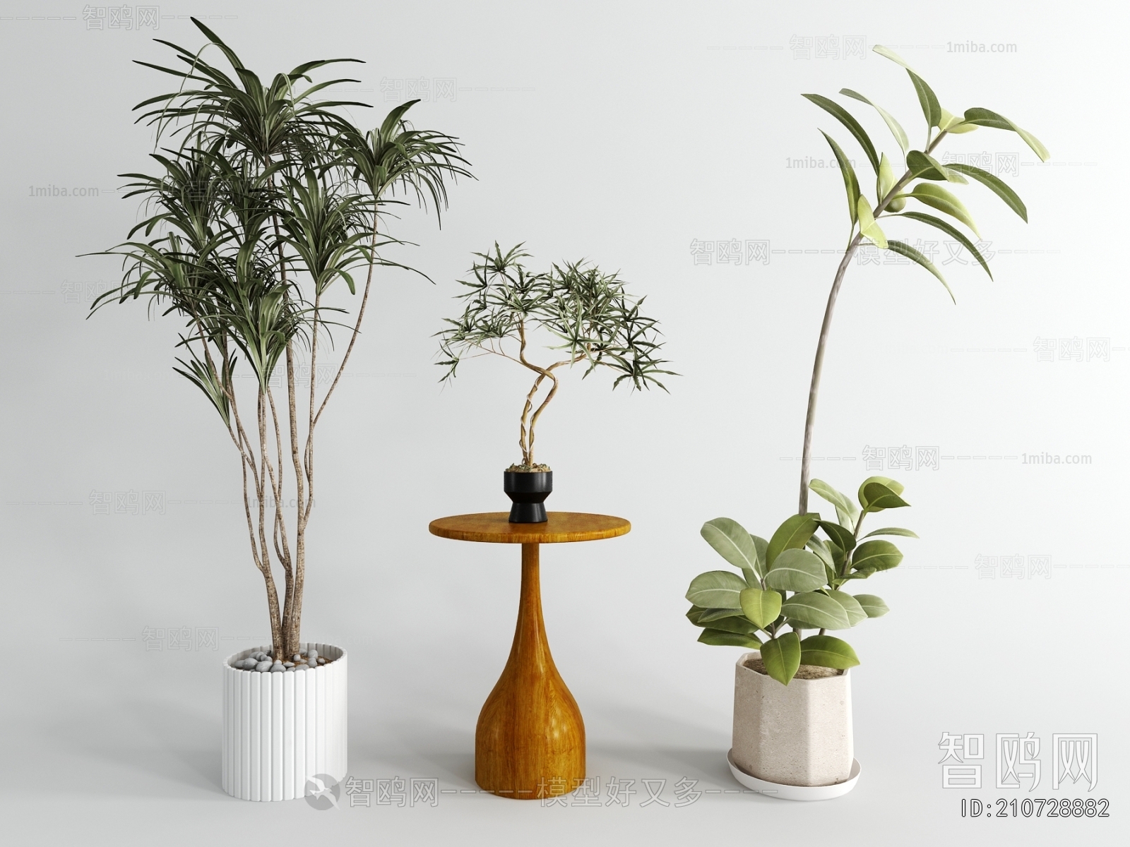 Modern Ground Green Plant Potted Plants