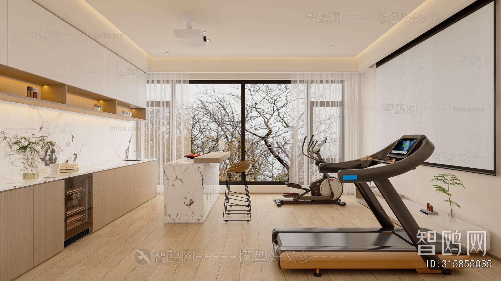 Modern Home Fitness Room