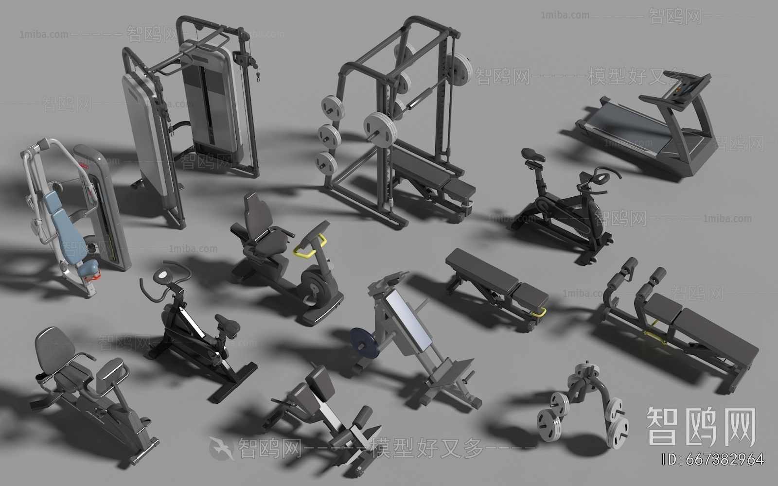 Modern French Style Fitness Equipment