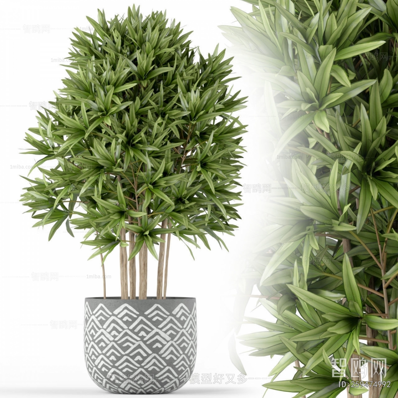 Modern Ground Green Plant Potted Plants