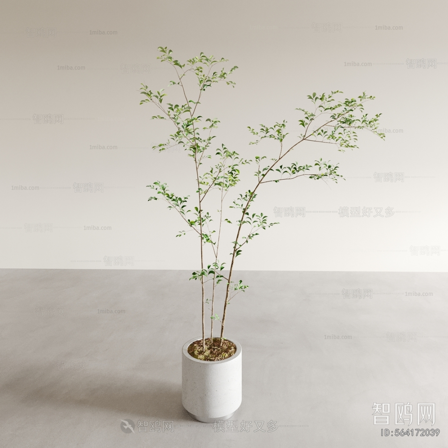 Modern Ground Green Plant Potted Plants