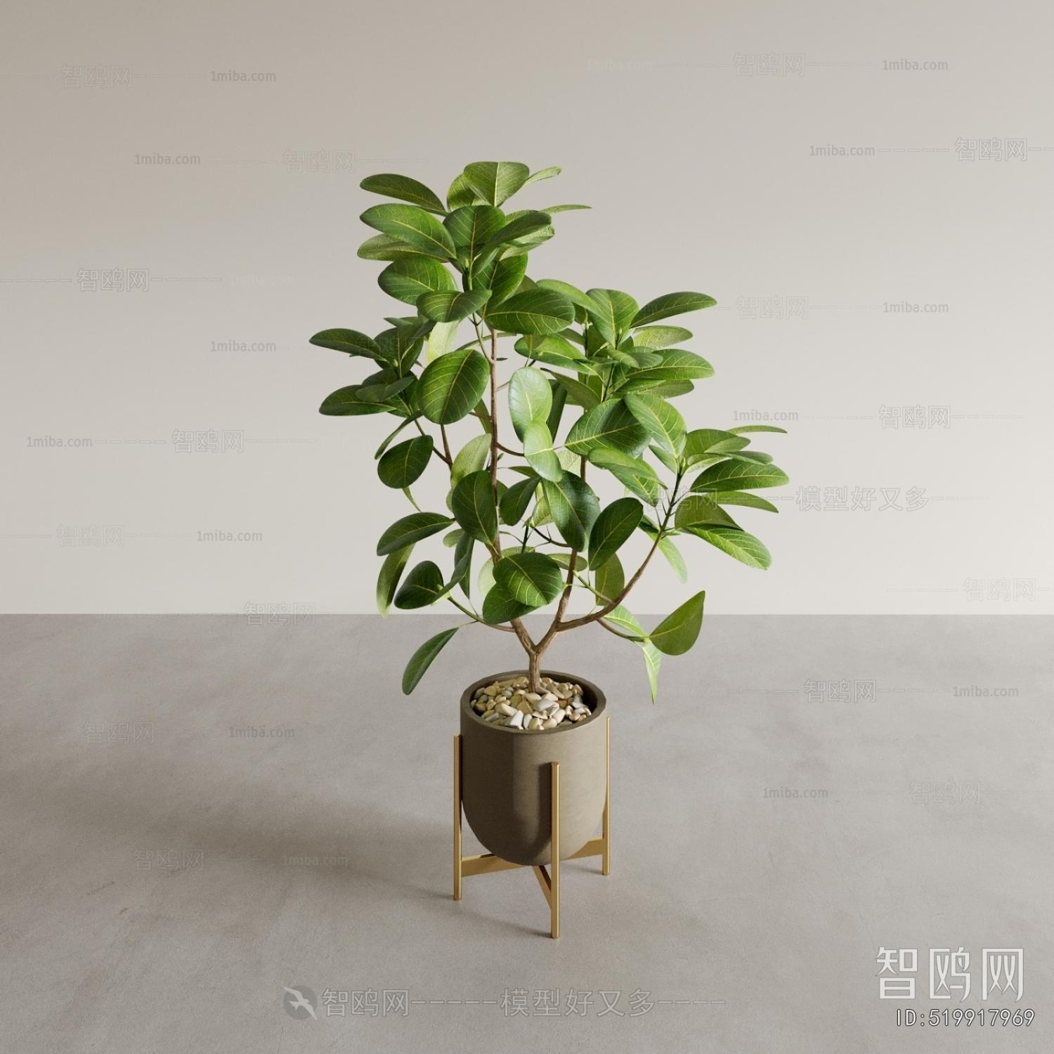 Modern Potted Green Plant