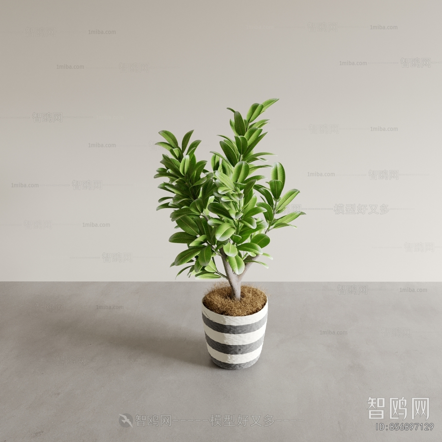 Modern Ground Green Plant Potted Plants