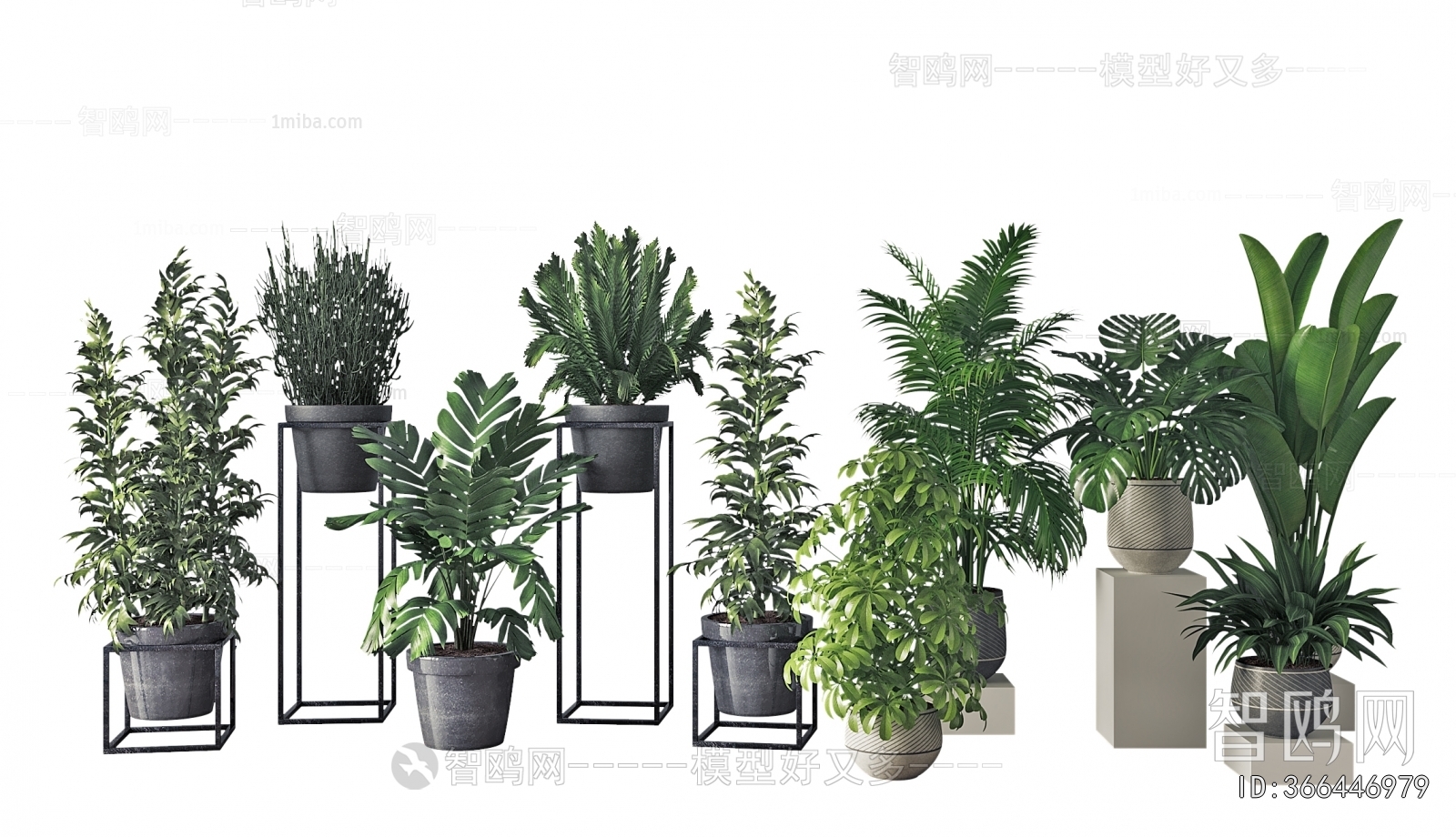 Modern Desktop Plant