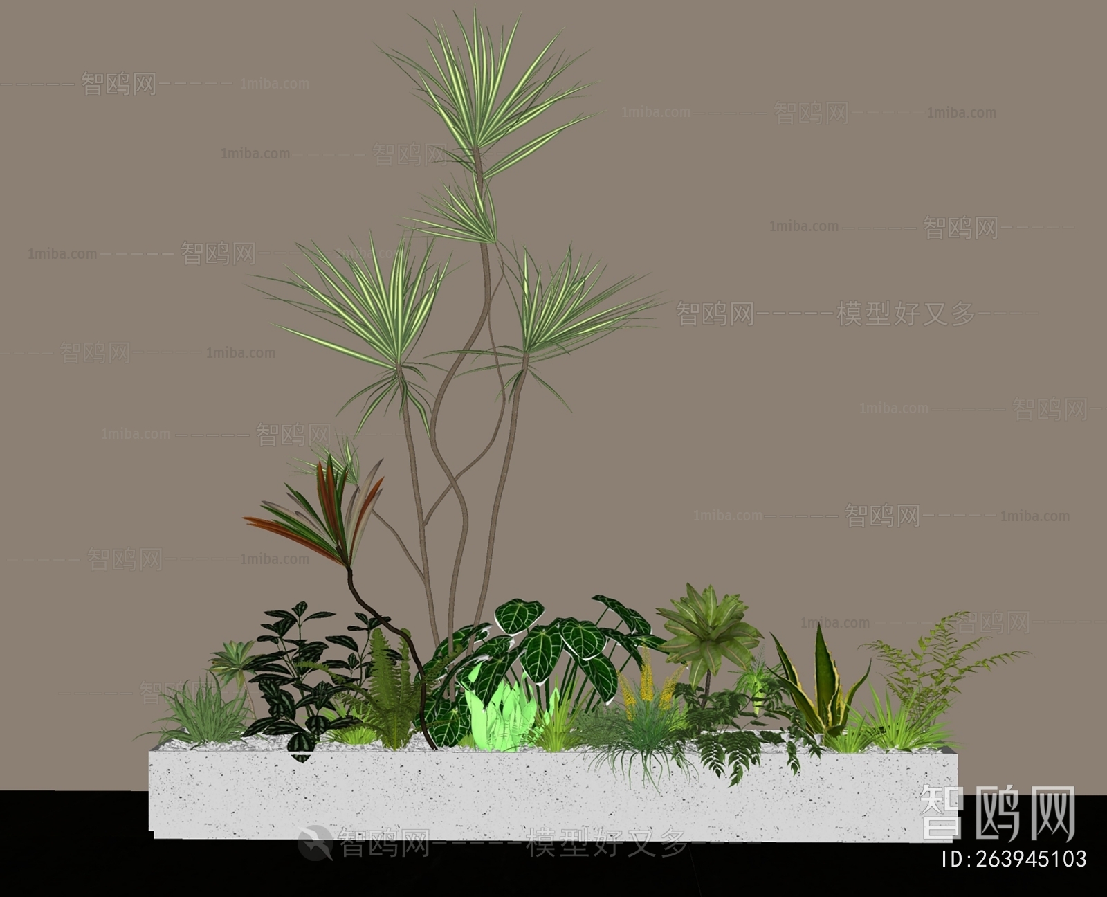 Modern Plant Landscaping