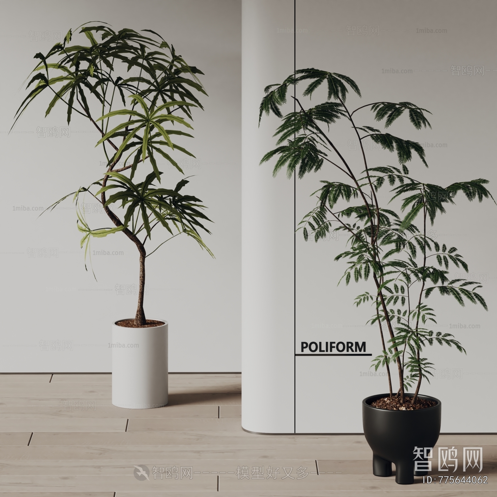 Modern Ground Green Plant Potted Plants