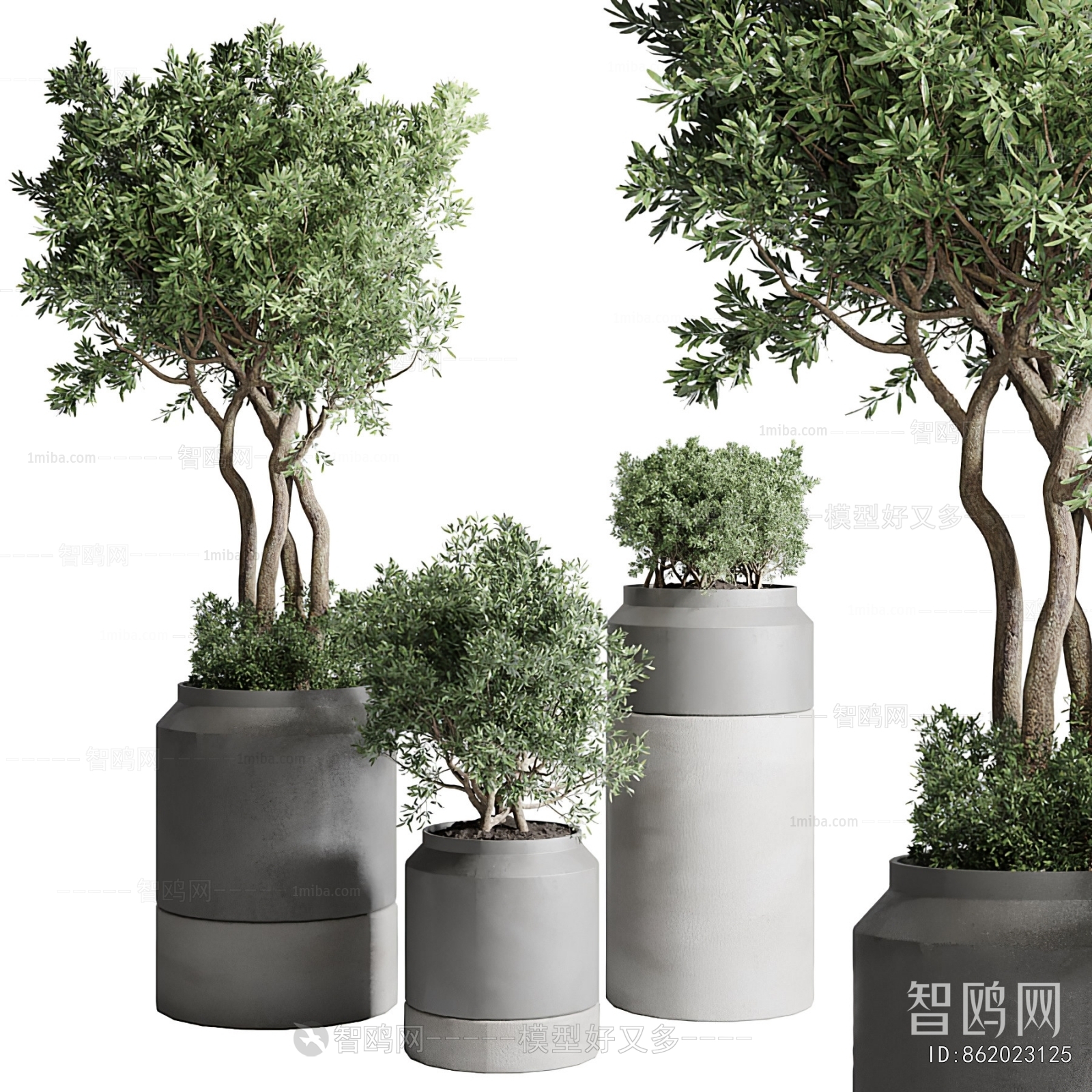 Modern Ground Green Plant Potted Plants