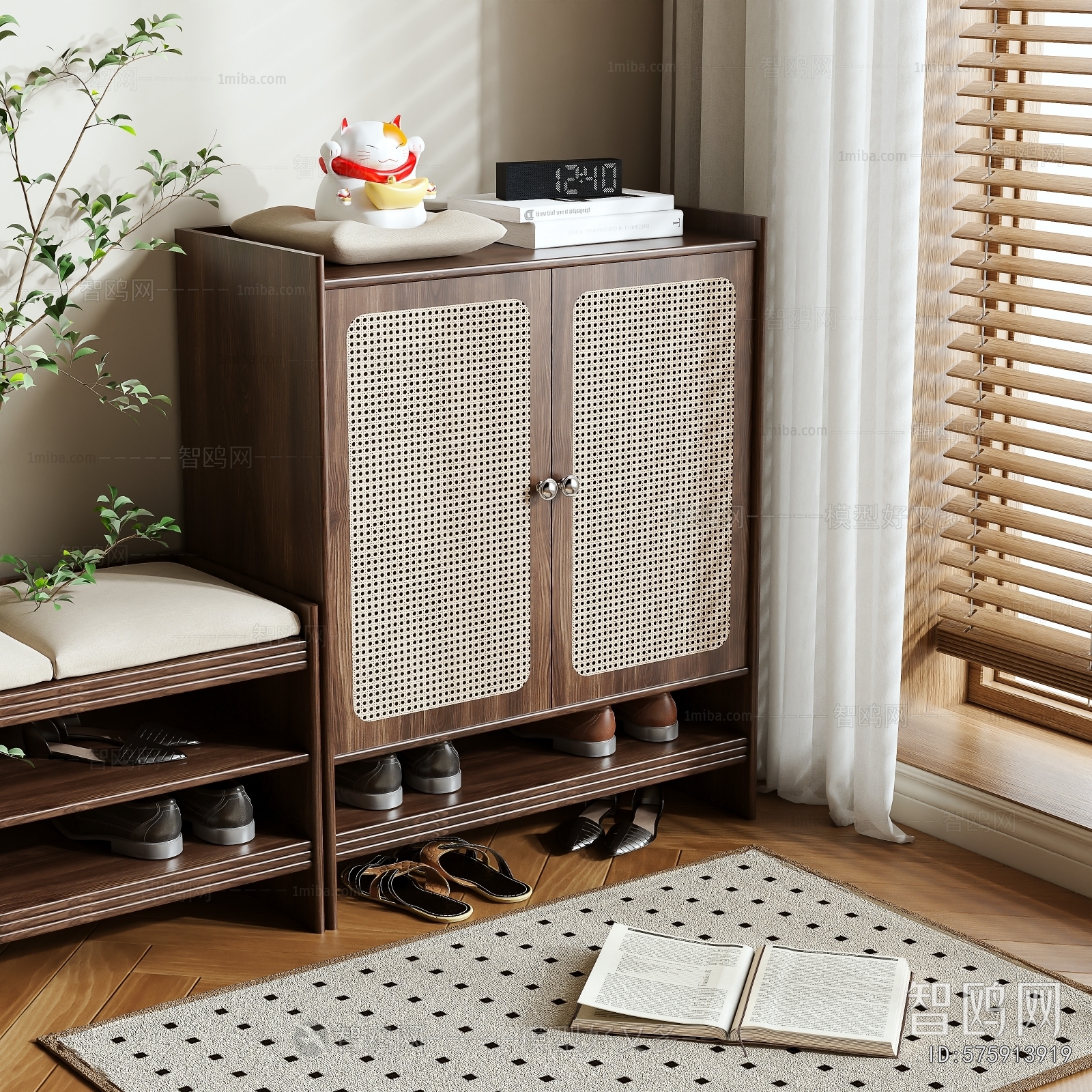 Modern Shoe Cabinet