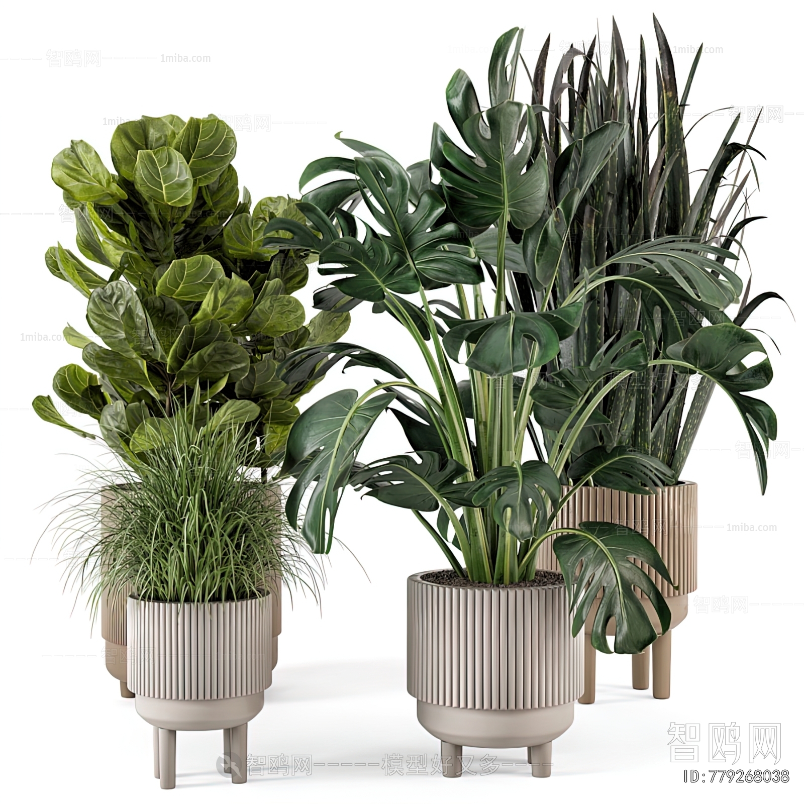 Modern Ground Green Plant Potted Plants