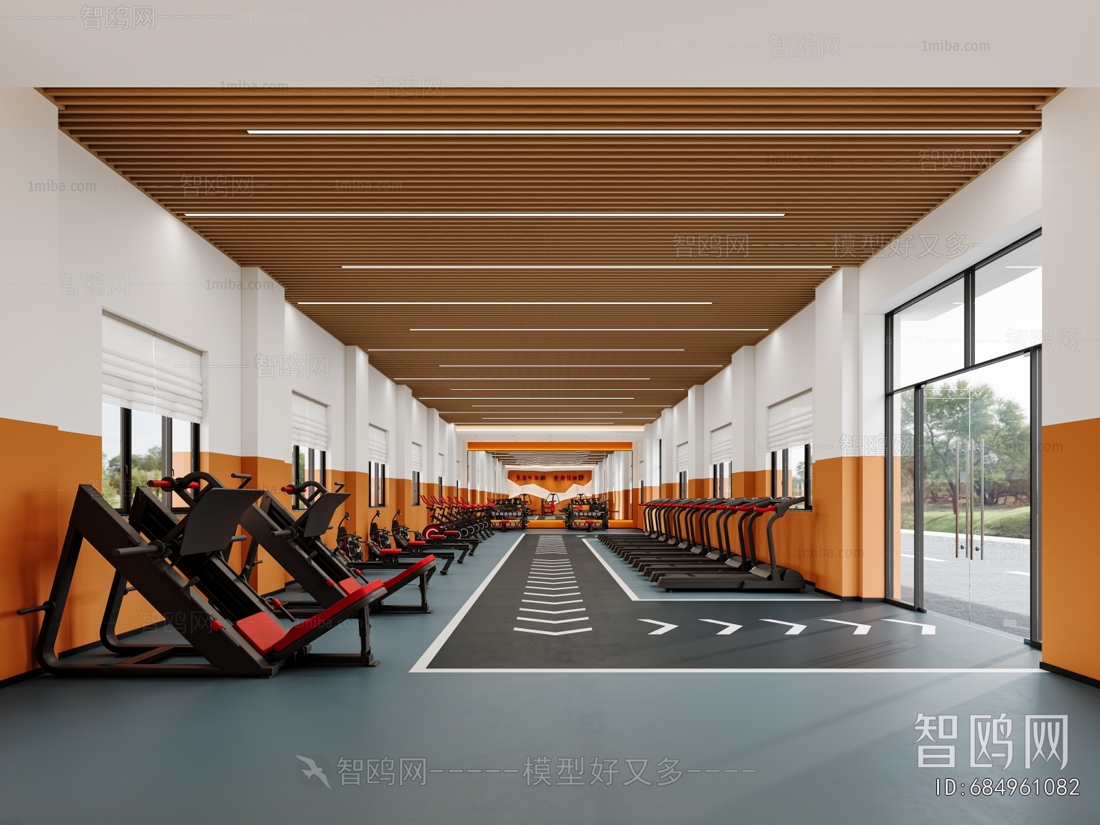 Modern Gym