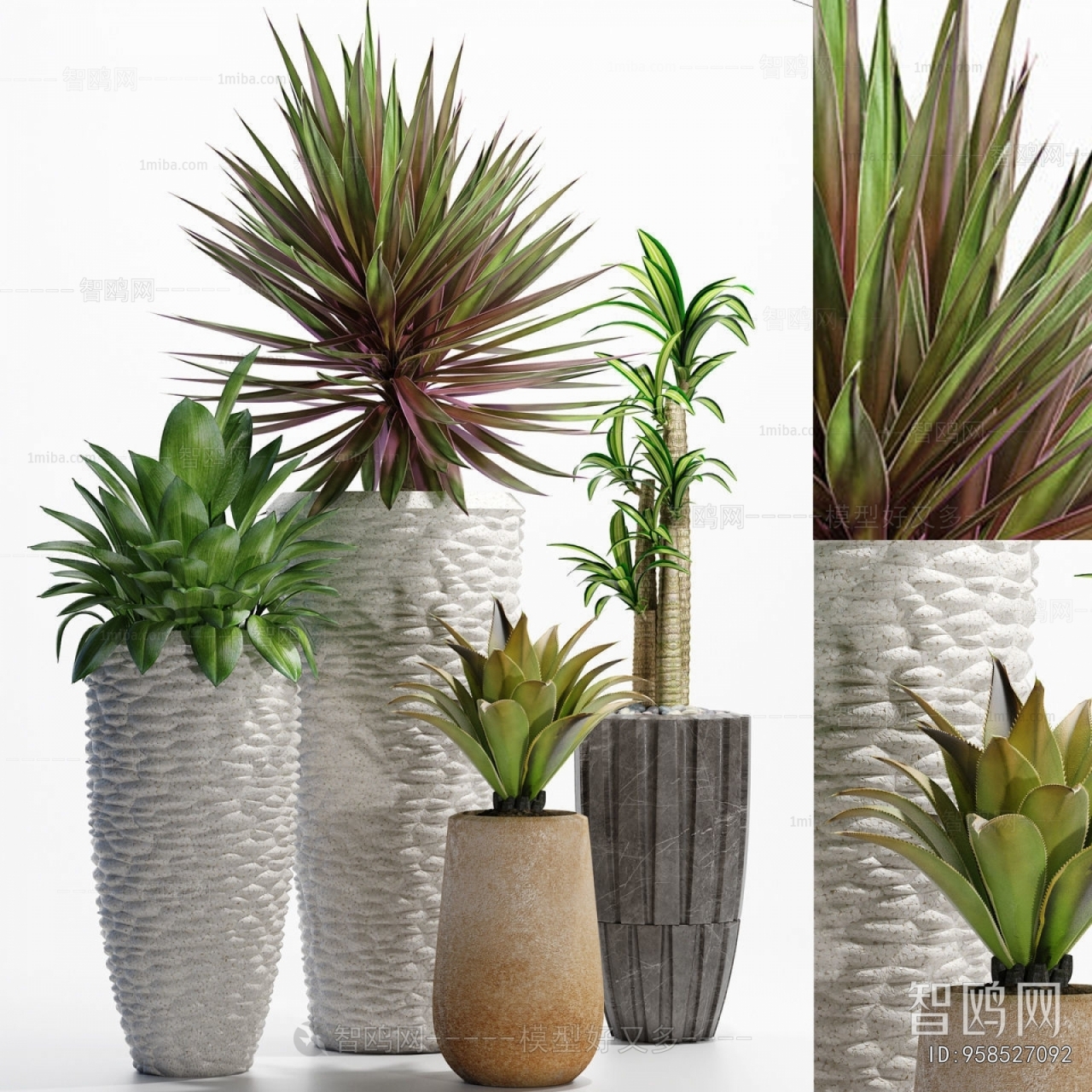 Modern Ground Green Plant Potted Plants