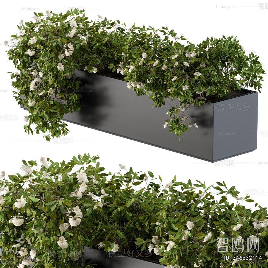 Modern Flower Bed, Flower Bowl, Flower Box