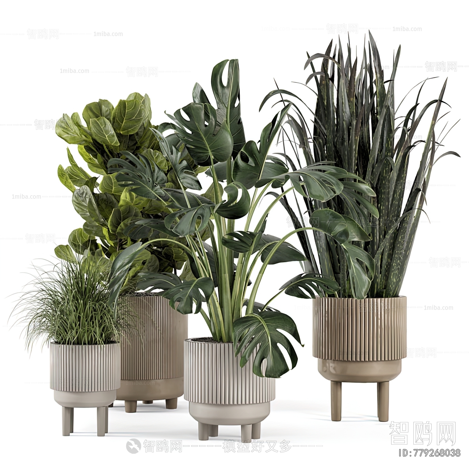 Modern Ground Green Plant Potted Plants