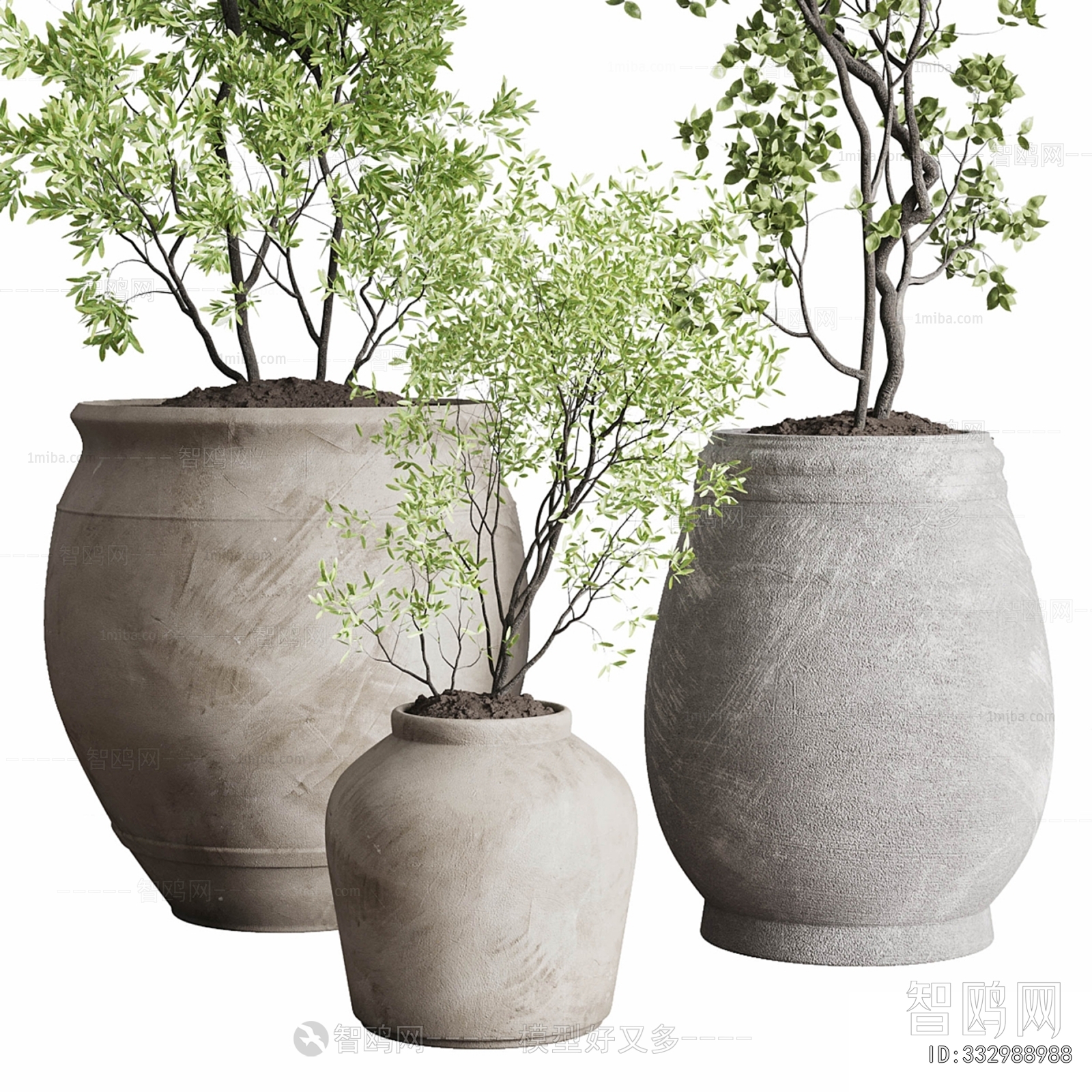 Modern Ground Green Plant Potted Plants