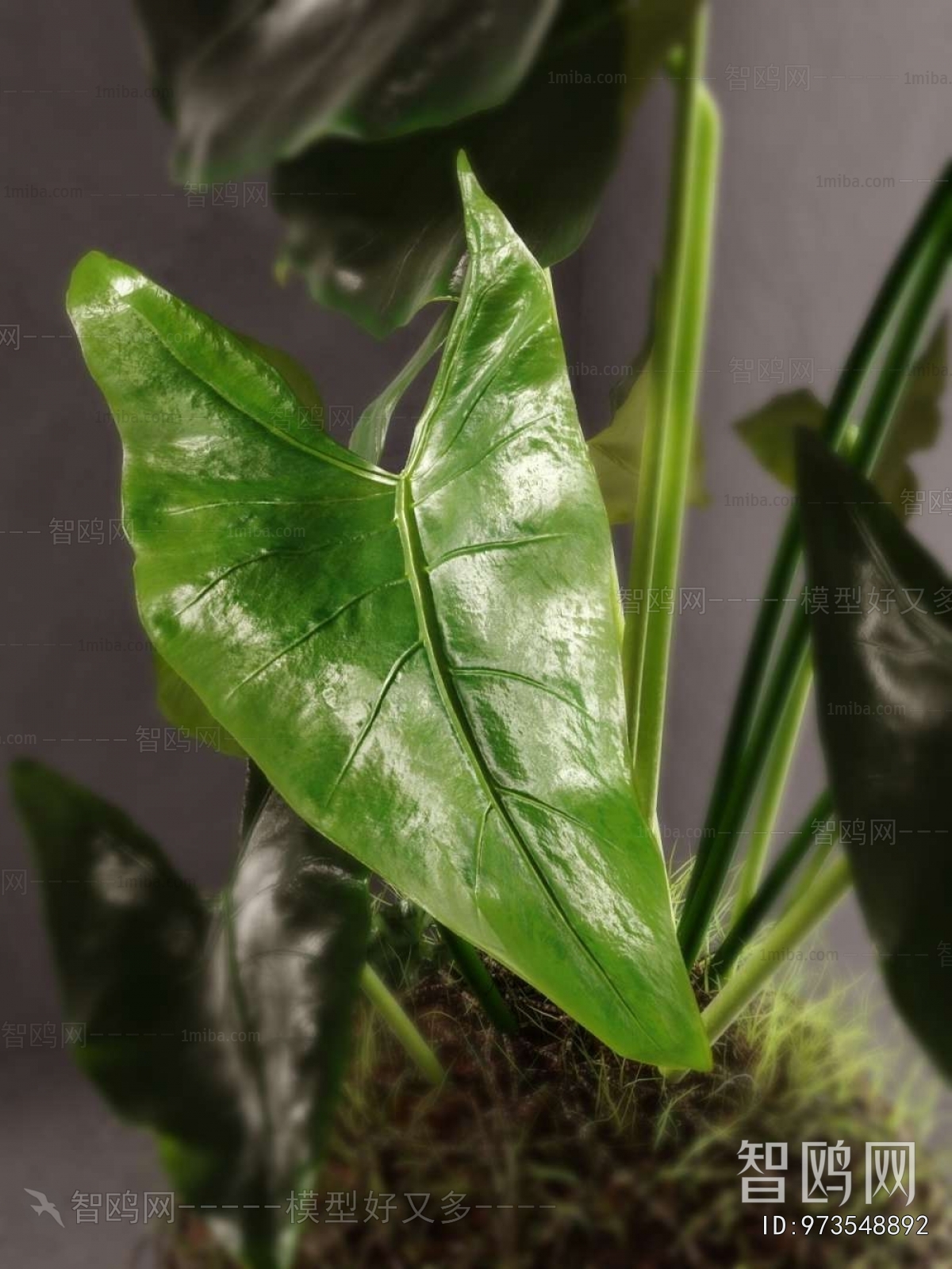 Modern Potted Green Plant