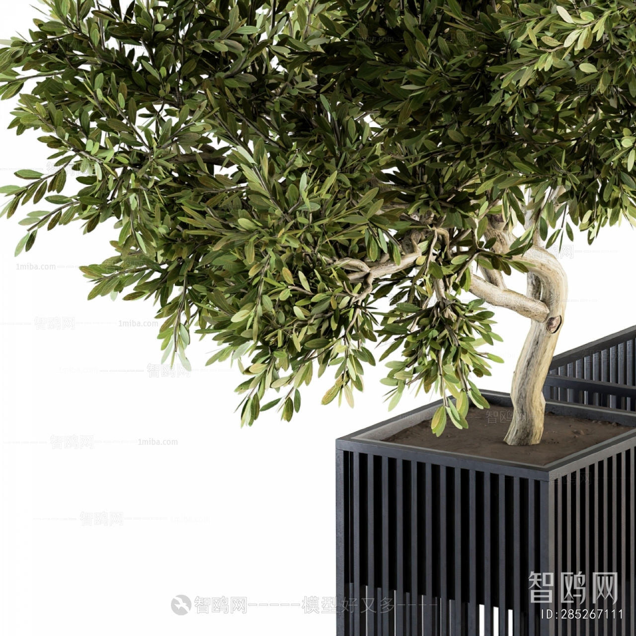 Modern Ground Green Plant Potted Plants