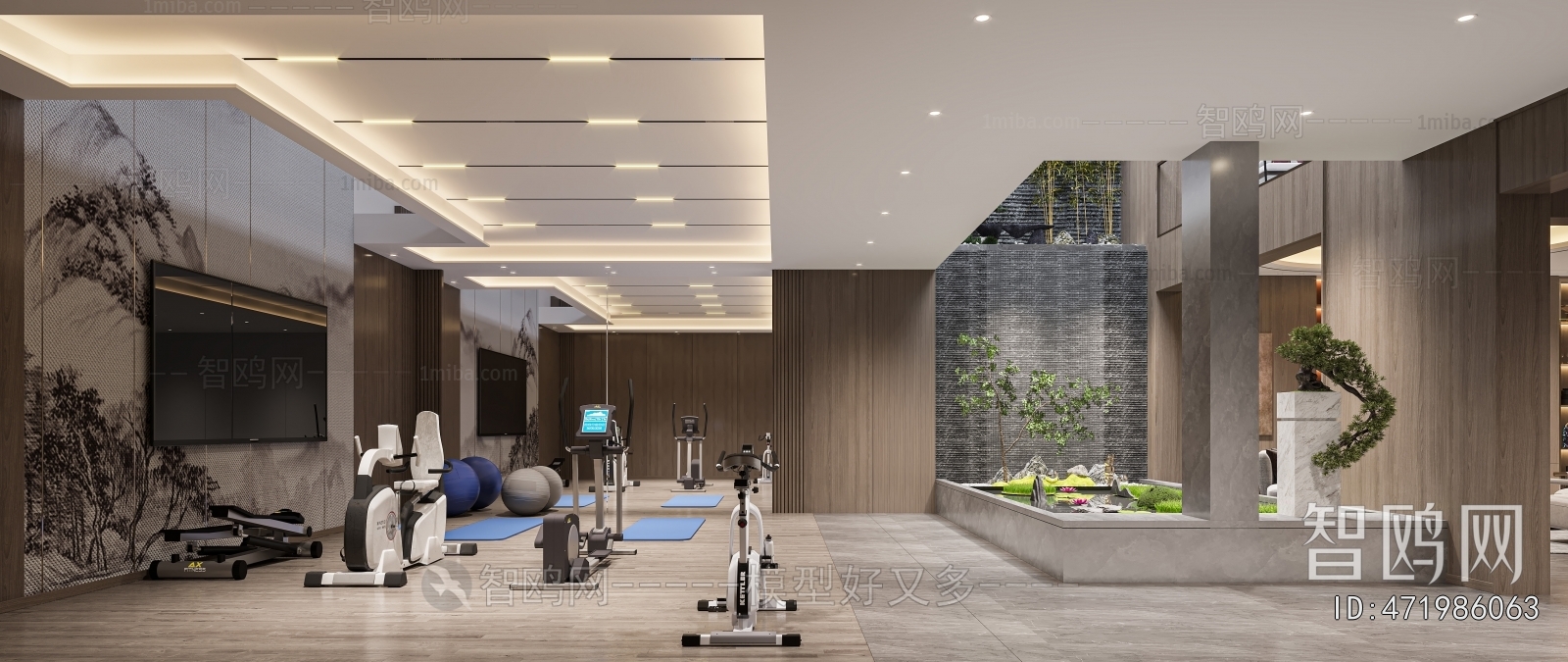 Modern Home Fitness Room