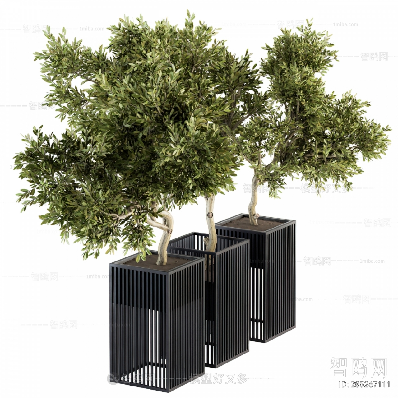 Modern Ground Green Plant Potted Plants