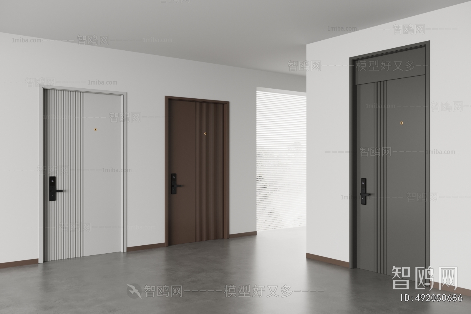 Modern Entrance Door