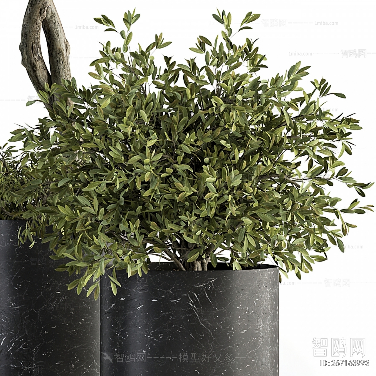 Modern Ground Green Plant Potted Plants