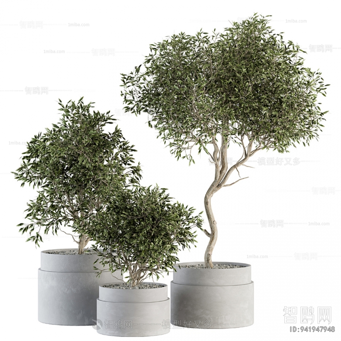 Modern Ground Green Plant Potted Plants