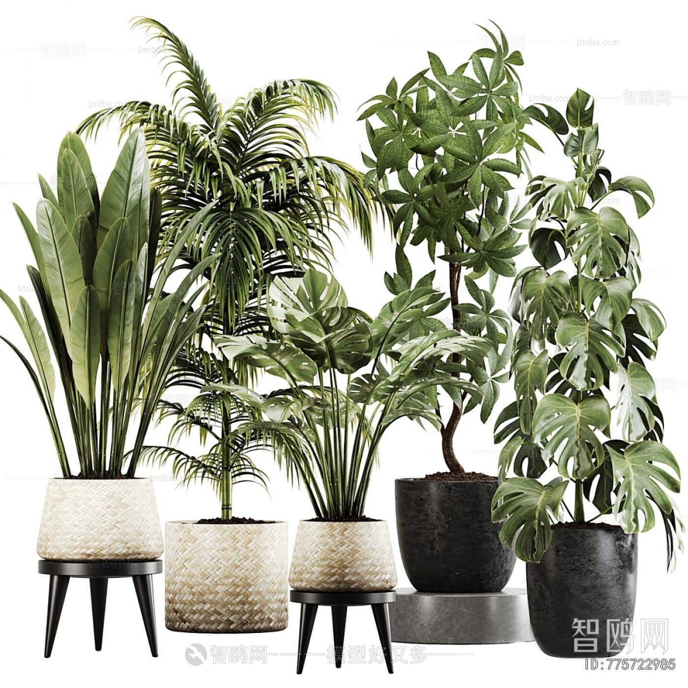 Modern Potted Green Plant