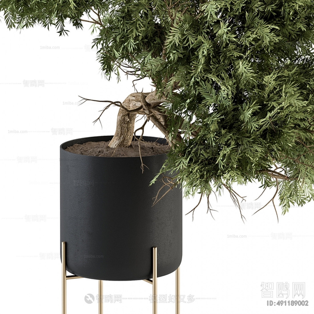 Modern Potted Green Plant