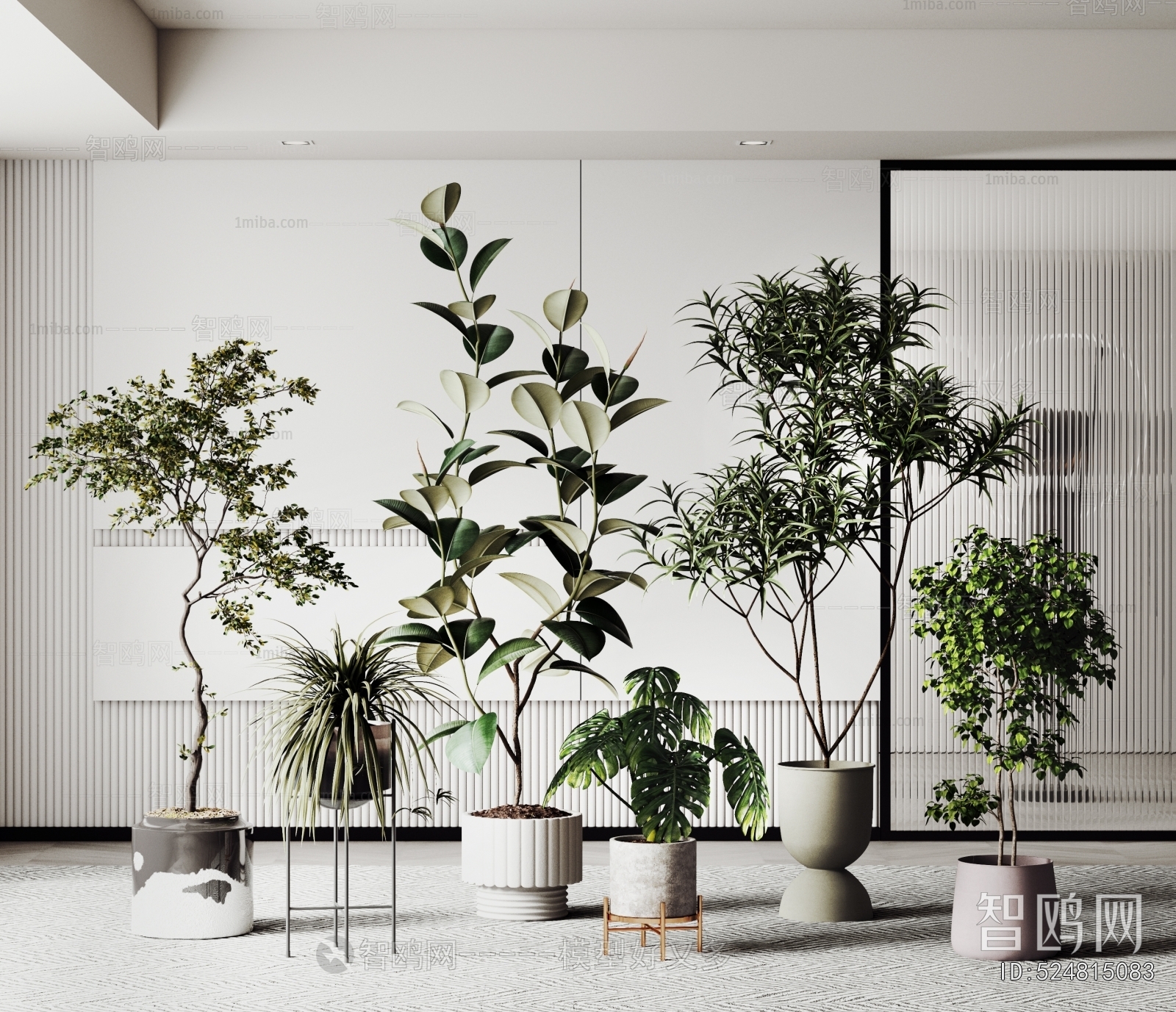 Modern Ground Green Plant Potted Plants