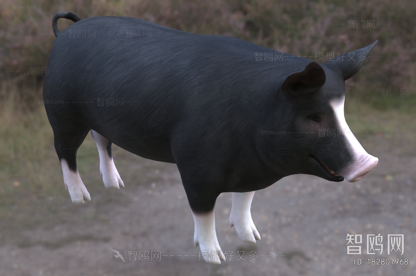 Modern Mammal