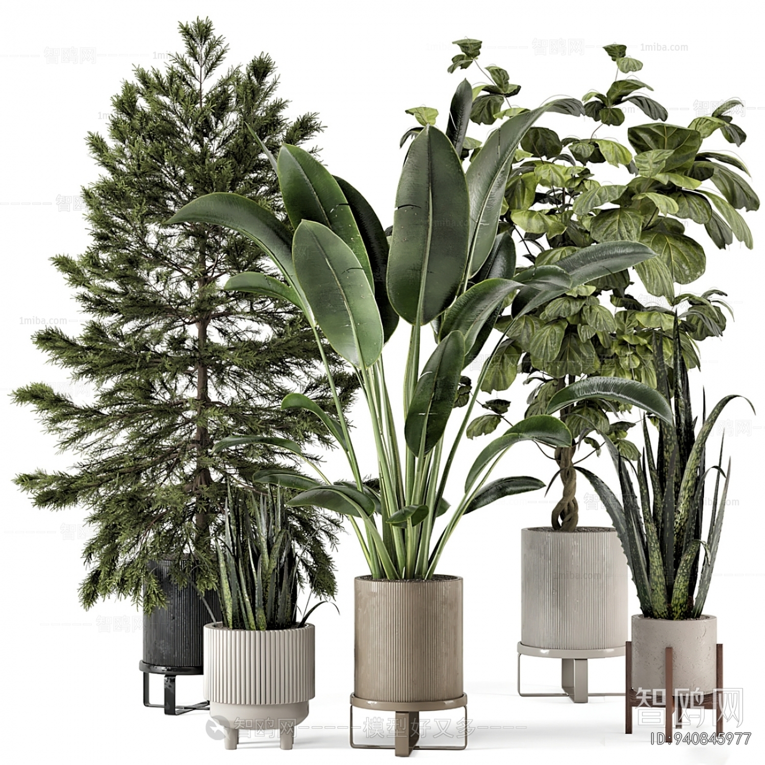 Modern Potted Green Plant