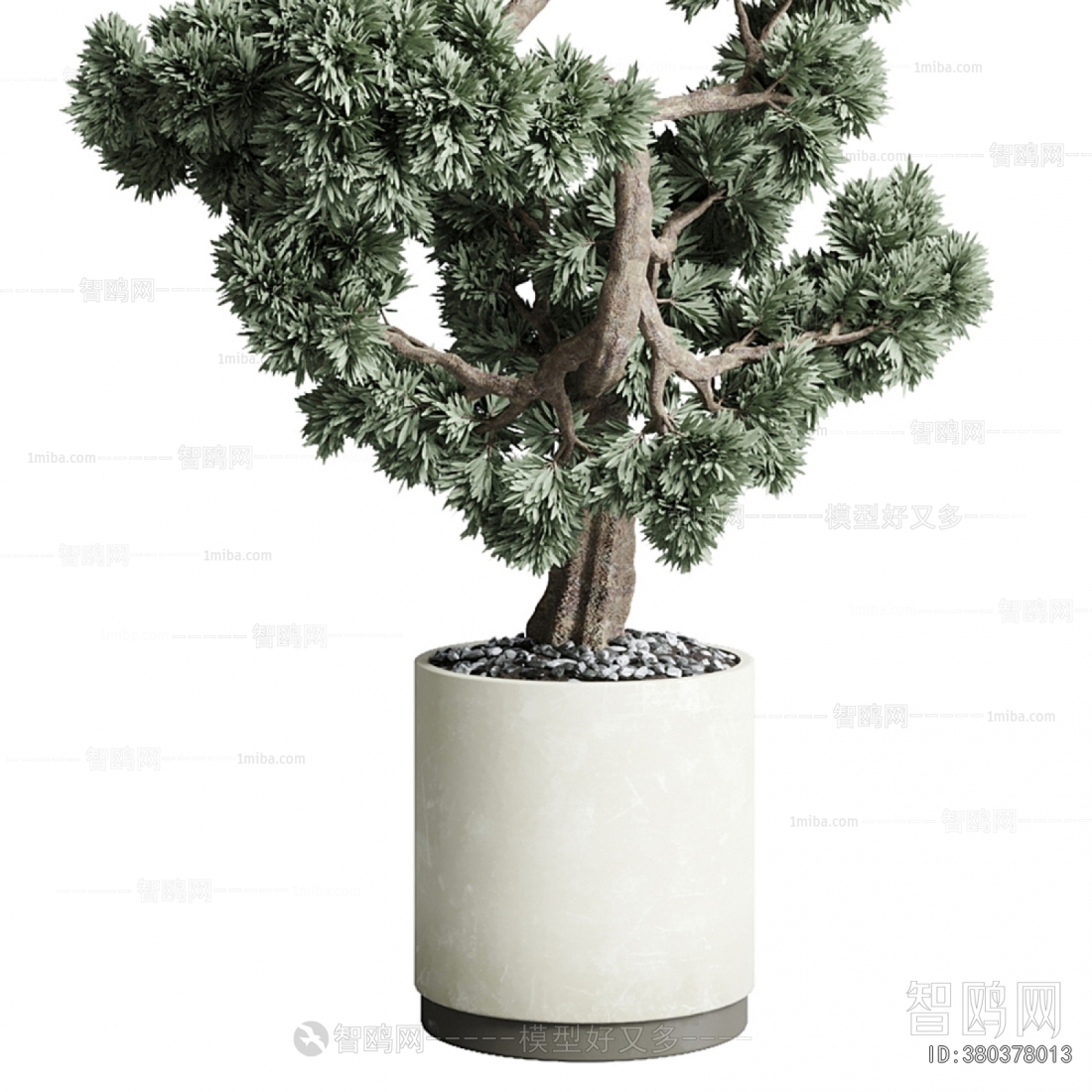 Modern Ground Green Plant Potted Plants