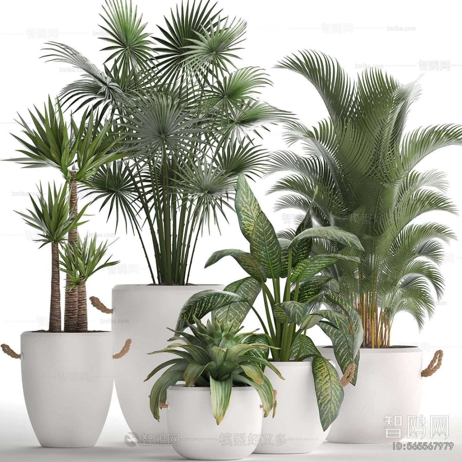 Modern Ground Green Plant Potted Plants