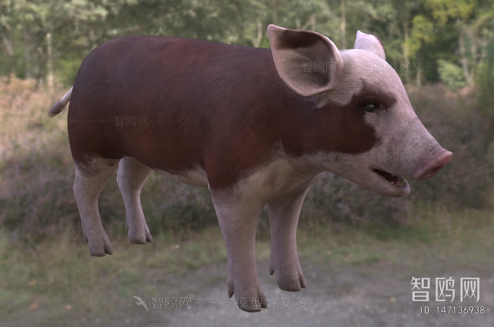 Modern Animal Pig