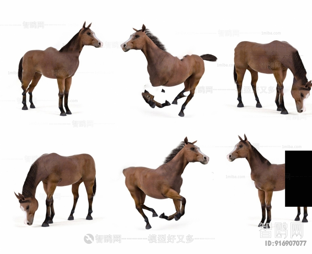 Modern Animal Horse