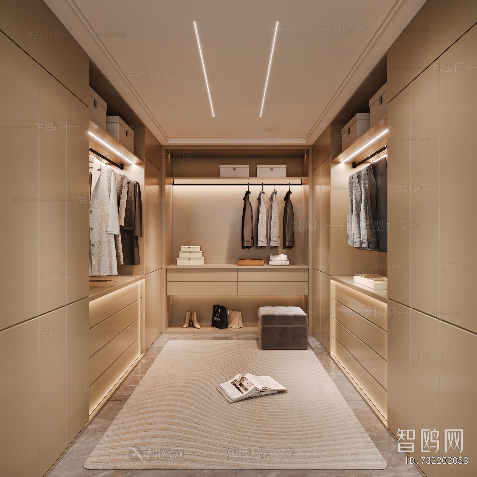 Modern Clothes Storage Area