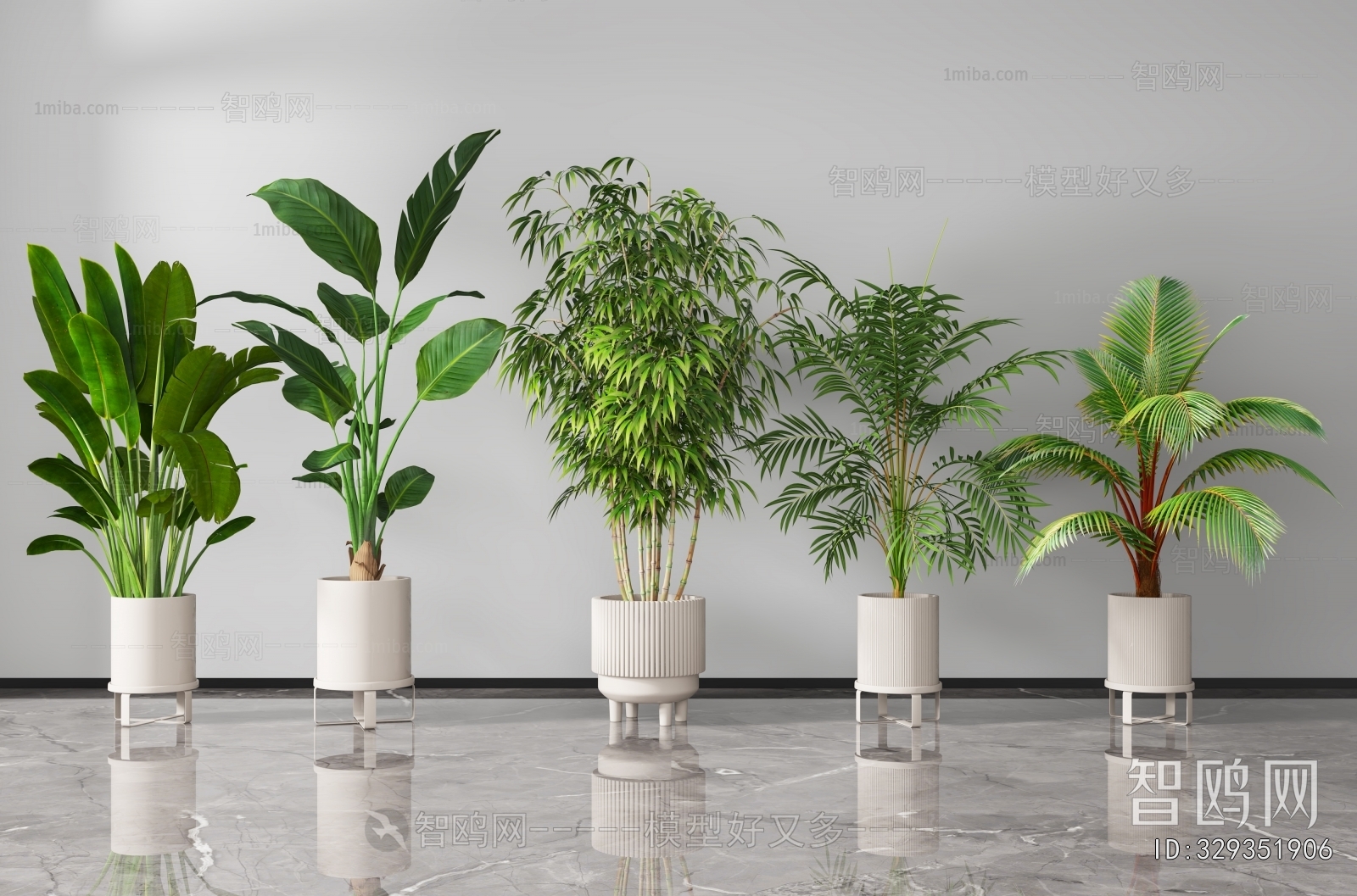 Modern Ground Green Plant Potted Plants