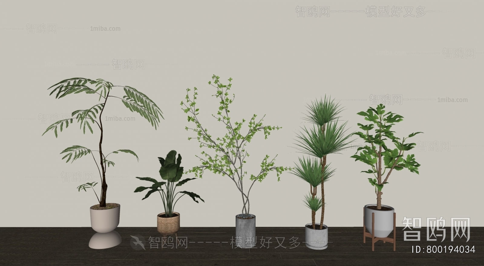 Modern Ground Green Plant Potted Plants