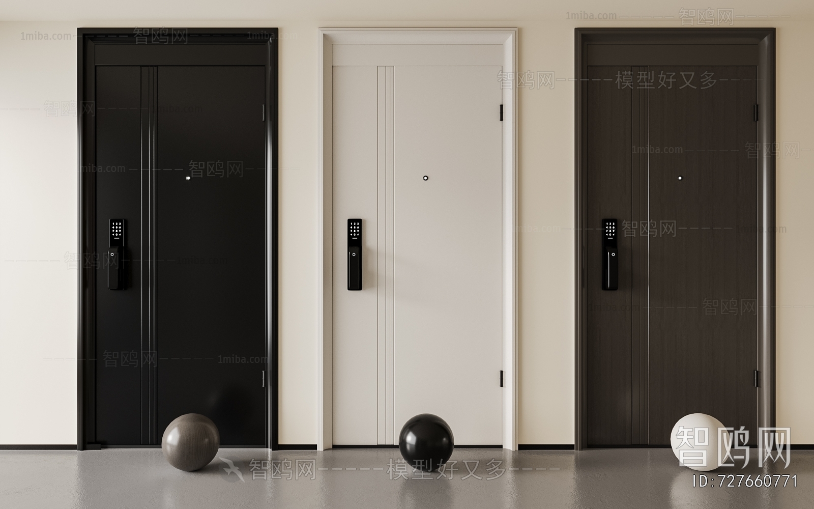 Modern Entrance Door