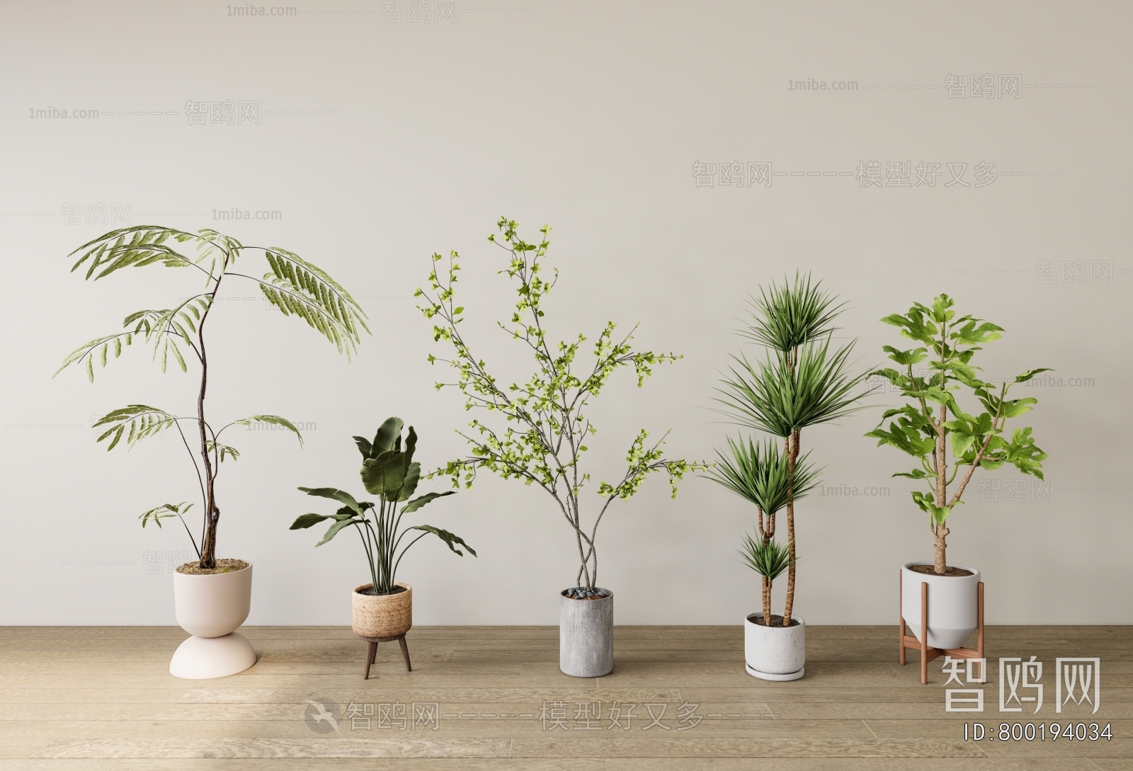 Modern Ground Green Plant Potted Plants